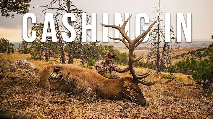  I Can't Believe I got a Second Chance on this Bull! || Big Elk With a Bow