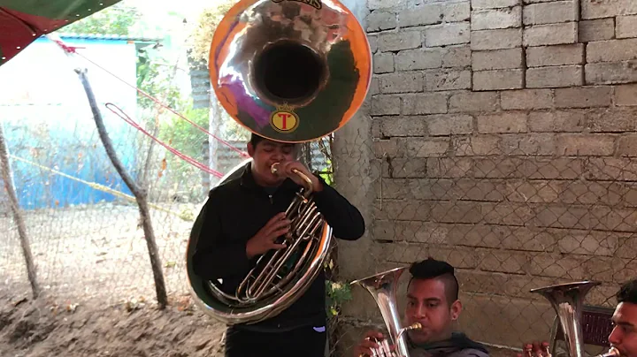 Tu nuevo cariito Banda Natividad