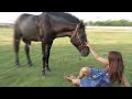 Smart Girl Training Horse Basics in my village