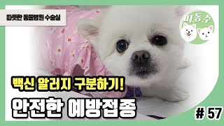백신 알러지! 안전한 예방접종을 위해 알아야 할 지식  - 따뜻한 동물병원 수술실 57화