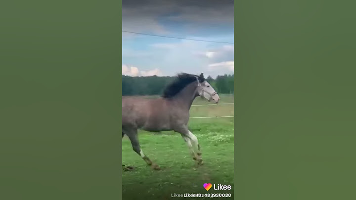 видео из лайка) девочка молодец, классное видео, хотя грустно стало.