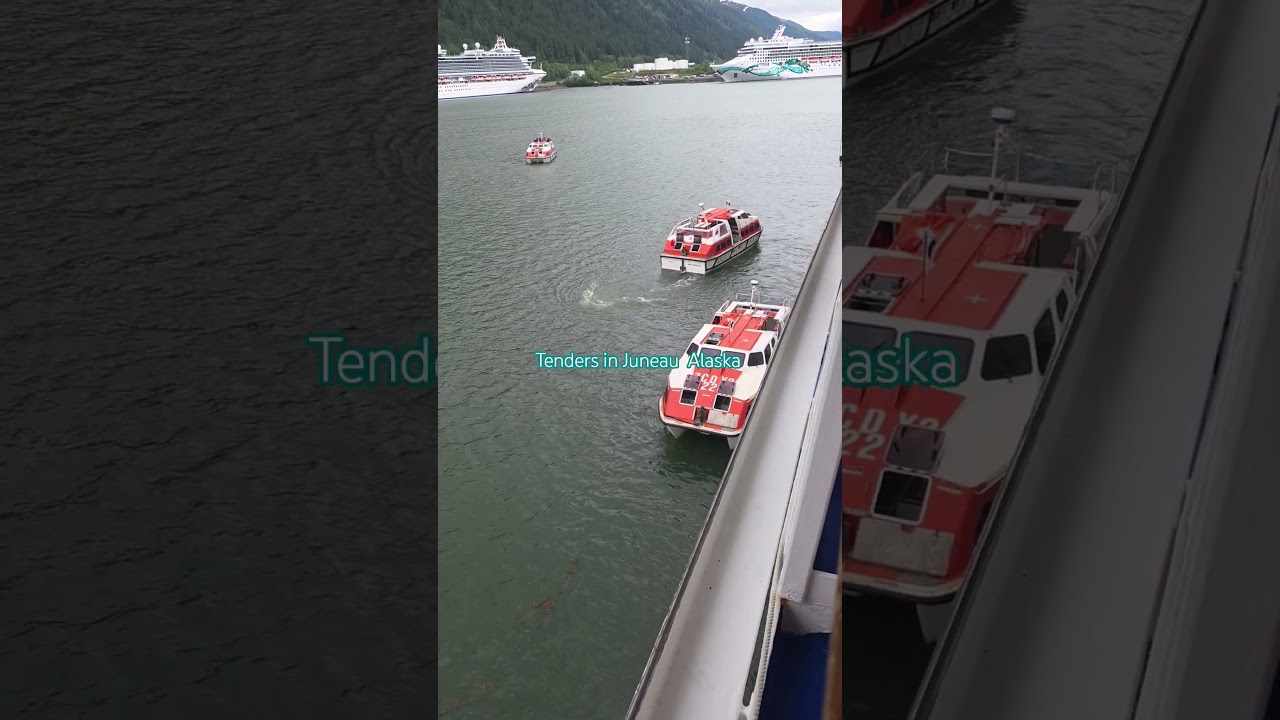 Why Cruise Ships Use Tenders in Juneau, Alaska! #short #AlaskaCruise #Juneau