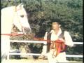 DEAN MARTIN & His Rare Andalusian Horses - Beautiful!