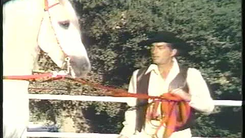 DEAN MARTIN & His Rare Andalusian Horses - Beautif...