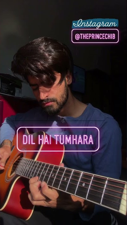 Dil hai tumhara |Prince chib | Udit Narayan | Alka Yagnik