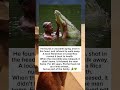 He Saved a Dying Crocodile — It Followed Him Home for 20 Years