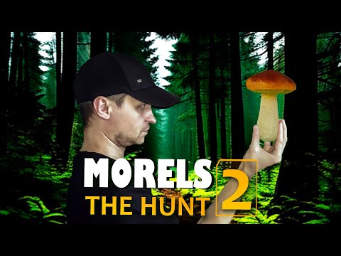 Видео: Morels: The Hunt 2 - Фотограф животных сзади (грибник)