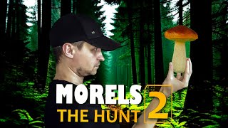 Morels: The Hunt 2 - Фотограф животных сзади (грибник)