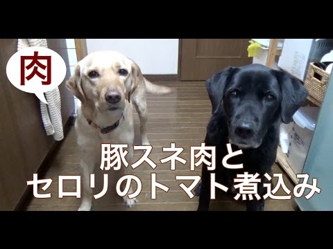 大型犬の手作りご飯 豚スネ肉とセロリのトマト煮込みご飯 Youtube