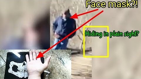 Delphi Murders observations....Part 1