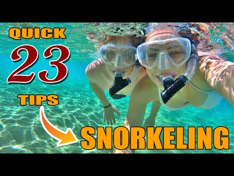 Video: 4 veidi, kā snorkelēt