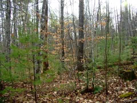 15-3 West Shore Road, Skowhegan, ME home video tour