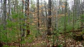 15-3 West Shore Road video tour