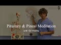 Pituitary & Pineal Gland: An Anatomical Meditation, with Gil Hedley