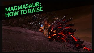 MAGMASAUR: HOW TO RAISE ONE AND EVERYTHING YOU NEED TO KNOW!!!