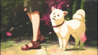 Baha Men - Who Let The Dogs Out (slowed   reverb)