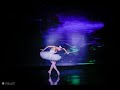 2019 ipaa festival the dying swan   