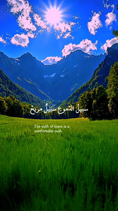 طريق الدموع 😭😭😭💔#nasheed #allah #32335 #makkah #madinna #fypシ #muhammadpbuh