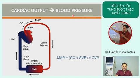 Tiếp cận sốc từng bước theo huyết động (phần 1) - BS. Nguyễn Hồng Trường