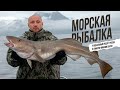 Увлекательная морская рыбалка  4К