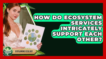 How Do Ecosystem Services Intricately Support Each Other? - Explaining Ecology
