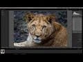 Lightroom Quick Tips - Episode 90: Radial Filter Tips