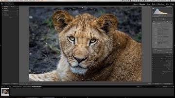 Lightroom Quick Tips - Episode 90: Radial Filter Tips