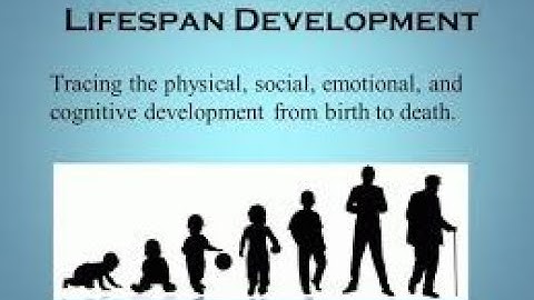 Lifespan Development: Paul Baltes