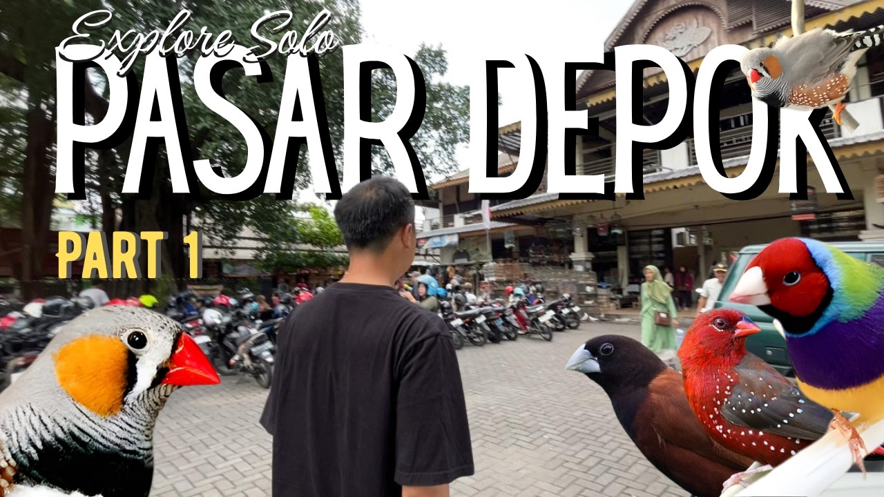 HUNTING BURUNG FINCH UNTUK AVIARY DI PASAR DEPOK SOLO