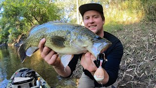 Celebrity MURRAY COD Opening 2020-2021 (KAYAK MISSION WITH JT) Net Worth