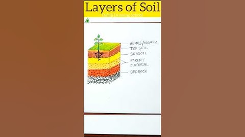 Layers of Soil Drawing #shorts #layersofsoildrawing #drawing