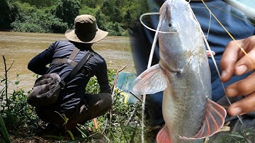 Nước sông đục đi câu bằng mồi giun quá hợp lý luôn ✅