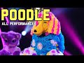 The Masked Singer - The Poodle All Performances and Reveal