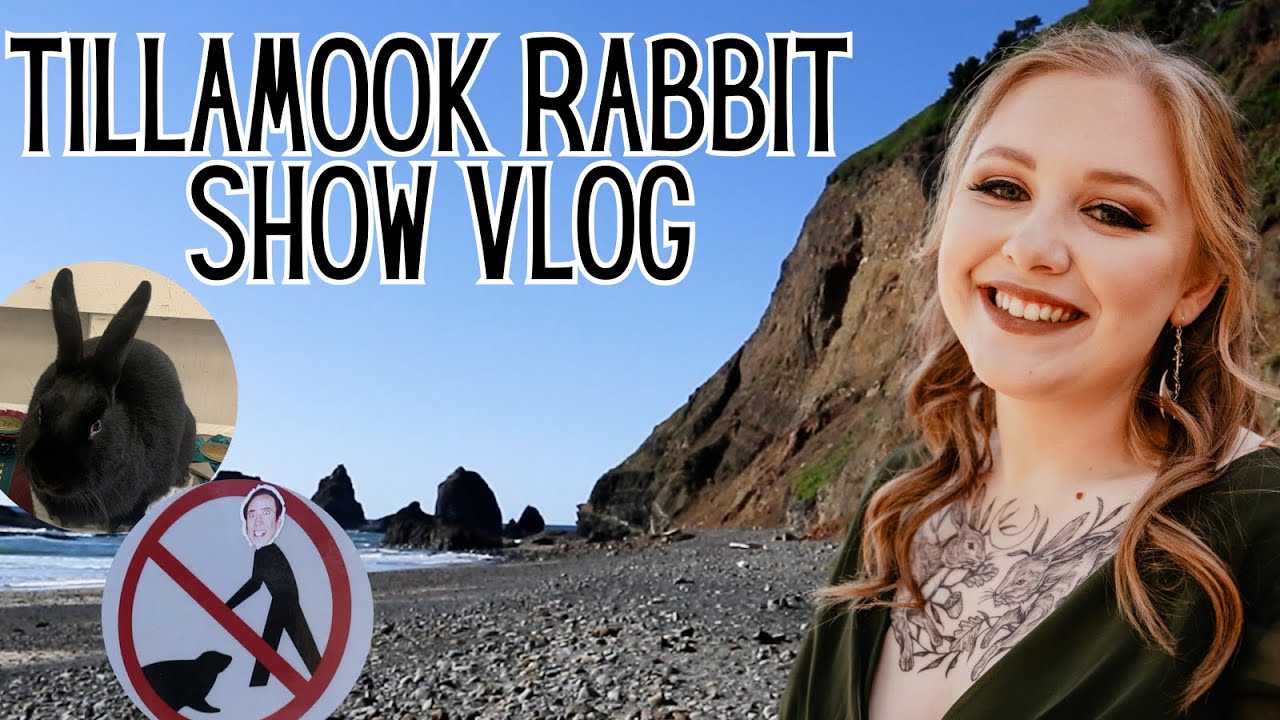 The One Where They Explore The Shores Rabbit Show Vlog YouTube