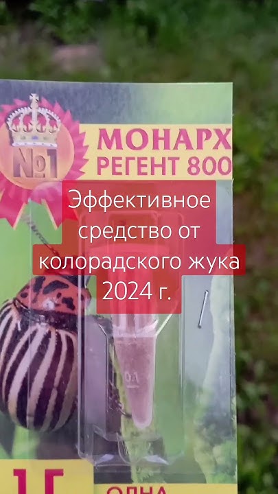 Самое эффективное средство от колорадского жука в 2024 году. Это ...