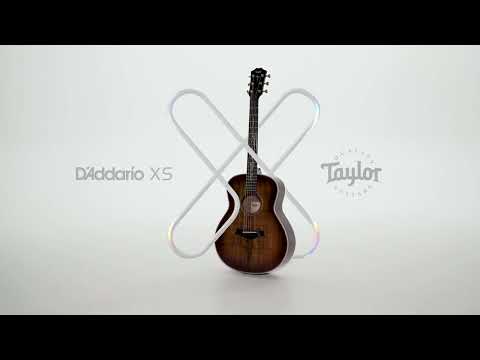 D'Addario XS: The Preferred String of Taylor Guitars