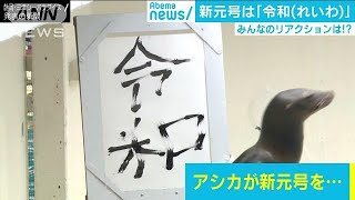 アシカも書を披露！　「令和」発表に日本全国が沸く(19/04/01)