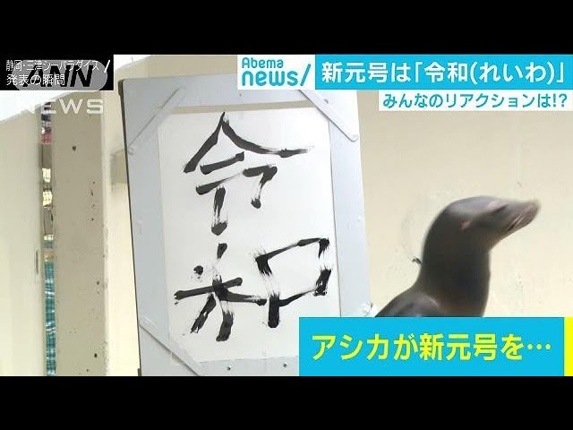 Even a Sea Lion Shows Off Its Calligraphy! Japan Erupts with