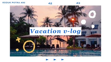 💜스마트폰으로 트렌디한 브이로그 인트로 영상 편집하기! (게다가 무료 어플임!) | 몰디브 비디오랩