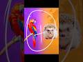 Parrot 🦜 mixing with Hedgehog 🦔 - Cute and funny hybrid animal #shorts #cuteanimals
