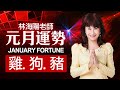 林海陽 預言提點 2021辛丑 元月運勢 雞、狗、豬 20201216