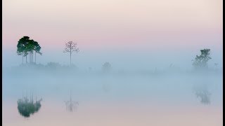 Photography Tips And Tricks With Jason Eldridge