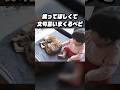 猫に構ってほしくて文句を言いまくるベビー👶 #shorts
