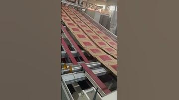 Flexo Folder Gluer-Conveyor: #flexofoldergluer #shorts #ffg #corrugatedbox #corrugatedboard #viral