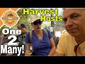 Harvest Hosts | Vineyards in Southern California | RV Life