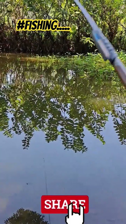 #fishing... #caucathugian #rodong #rophi #cauca #cadiec