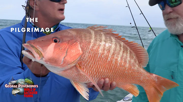 MUTTON & DOG SNAPPER, FLORIDA KEYS - 2022 SEASON -...