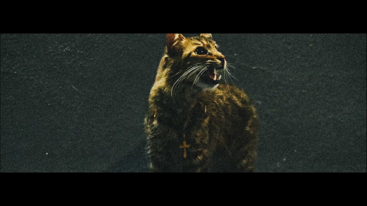 Zyle, Elezeta, 21rae B, Phantasie Vat, Álarcos - Oro Luciano (Video oficial)