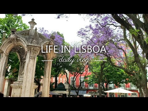 Life in Lisboa Vlog // Open Gardens Festival, Cascais, music shop, brunch