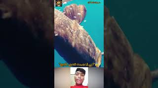 Big Fish.. #fish #viral #eelcatch #catchingfish #fishing #bigcatfeverrods #funny #trending